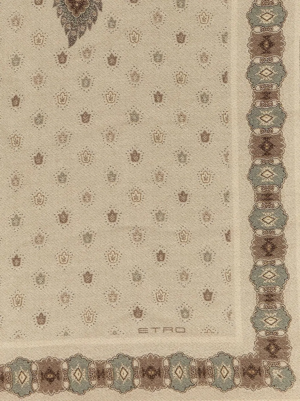 Paisley Fringed Throw