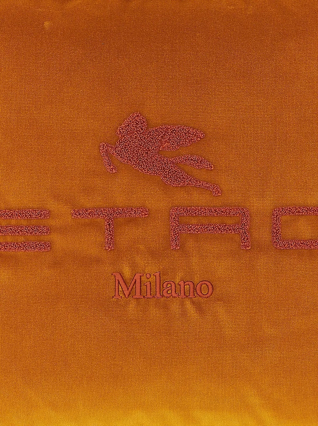 Etro Home Pegaso Embroidered Cushion