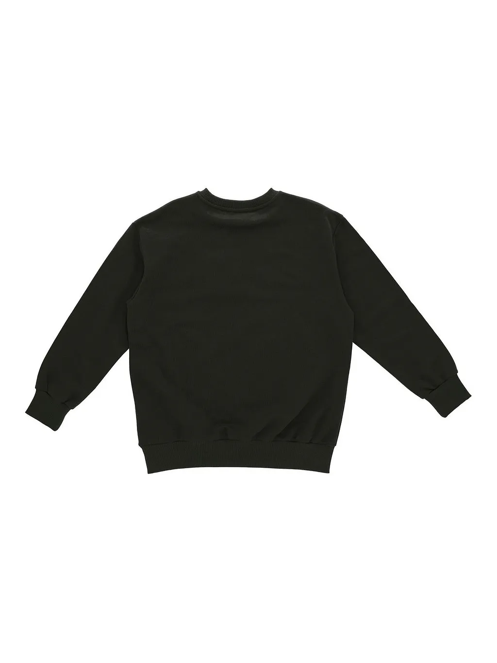 Etro Kids Pegasus-Embroidered Crewneck Sweatshirt