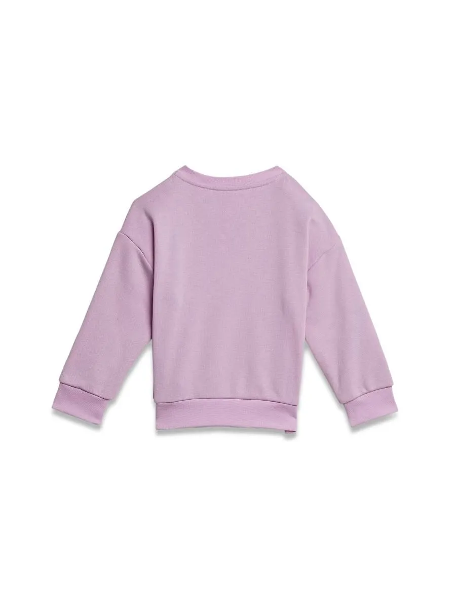 Adidas Originals Logo Crewneck Tracksuit