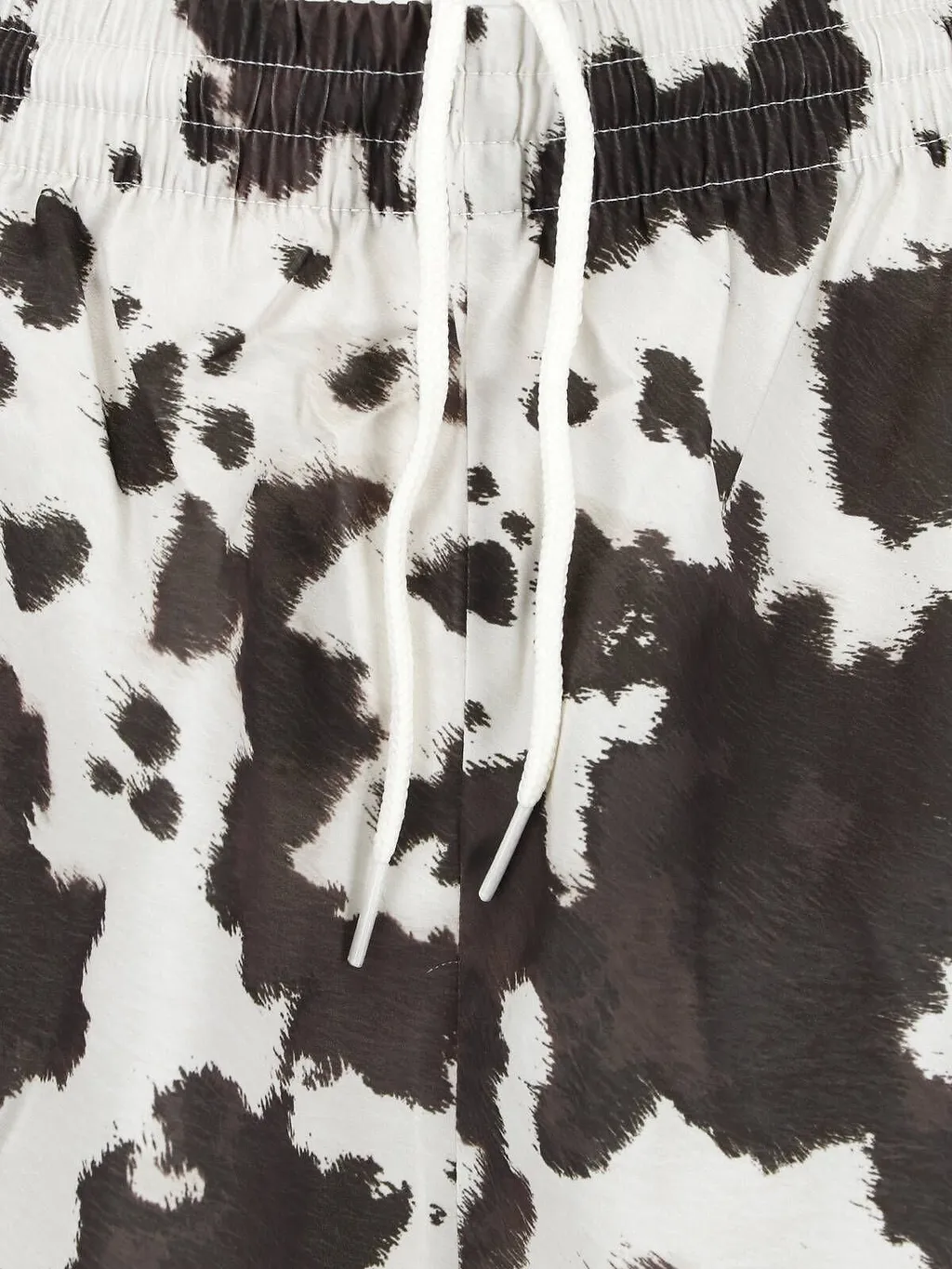 Adidas Printed Shorts