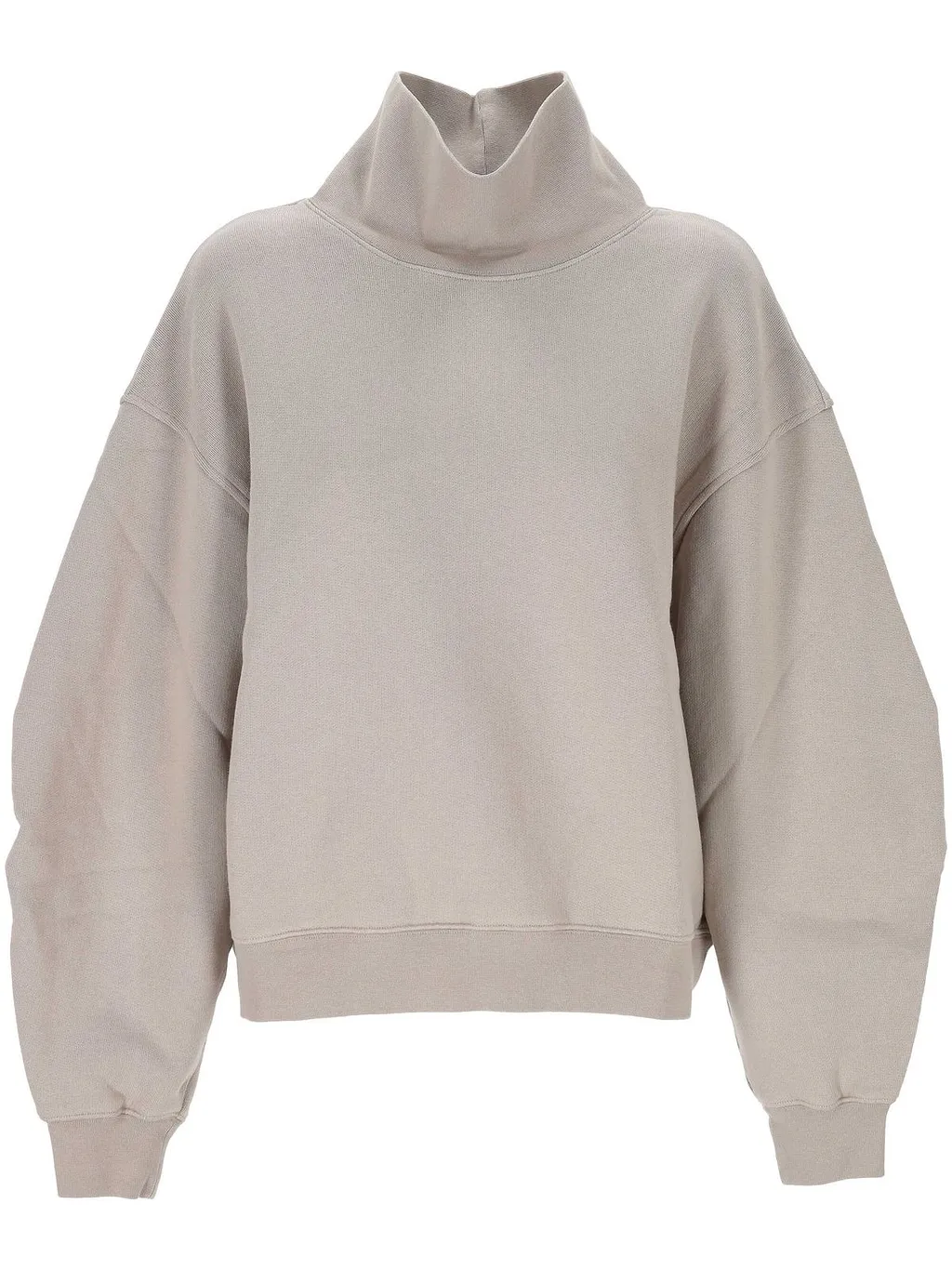 Agolde Turtleneck Sweatshirt