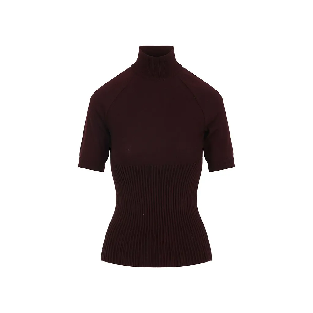 AlaÏA Ribbed High Neck Top