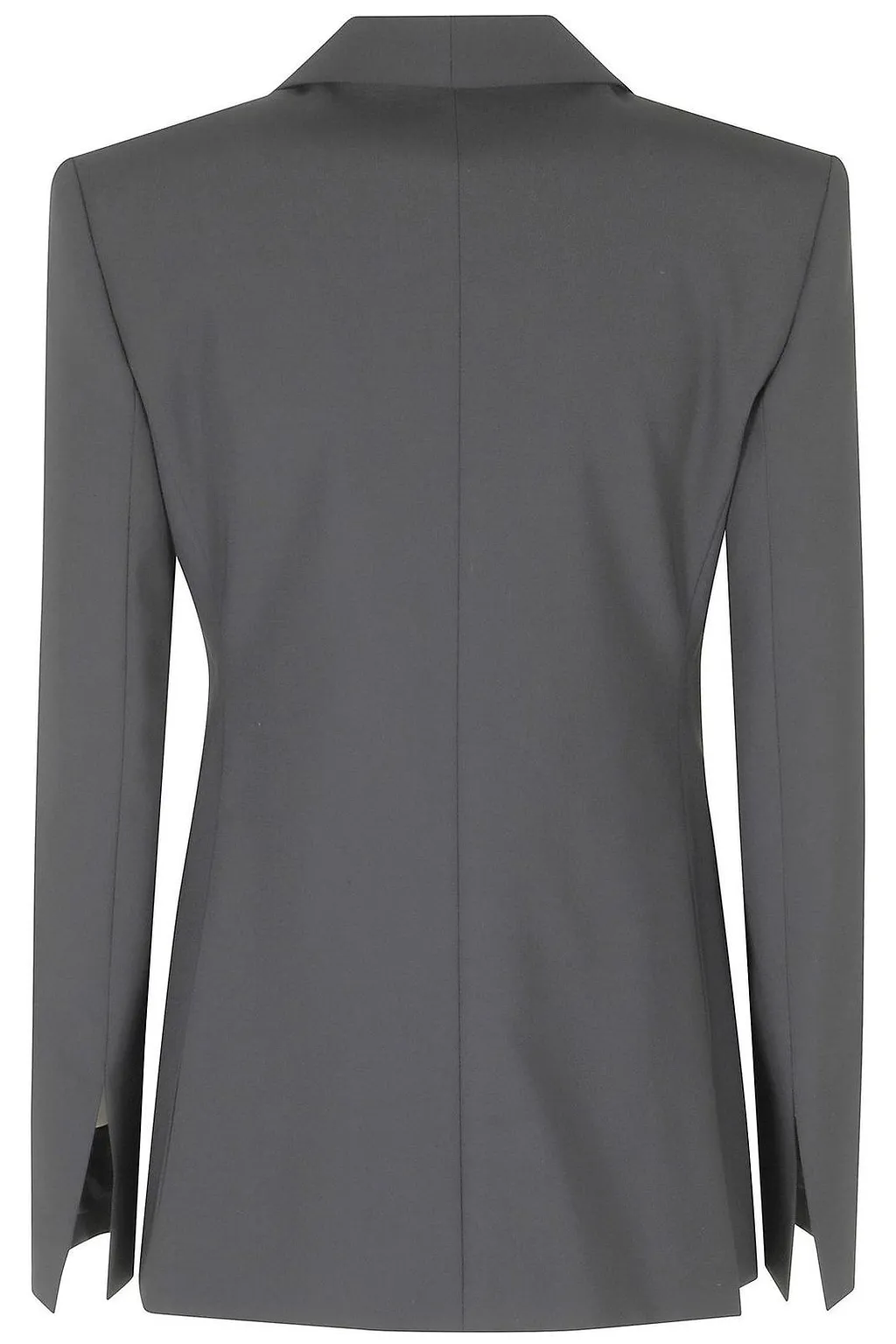 Alberta Ferretti Buttoned Tailored Blazer