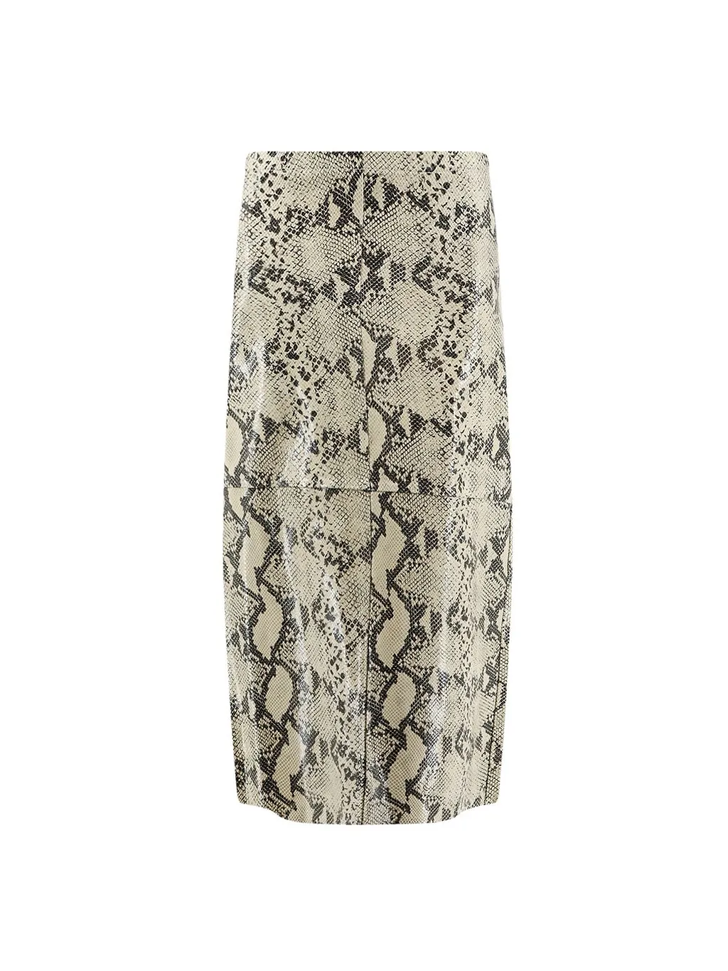 Alysi High-Waisted Printed Skirt