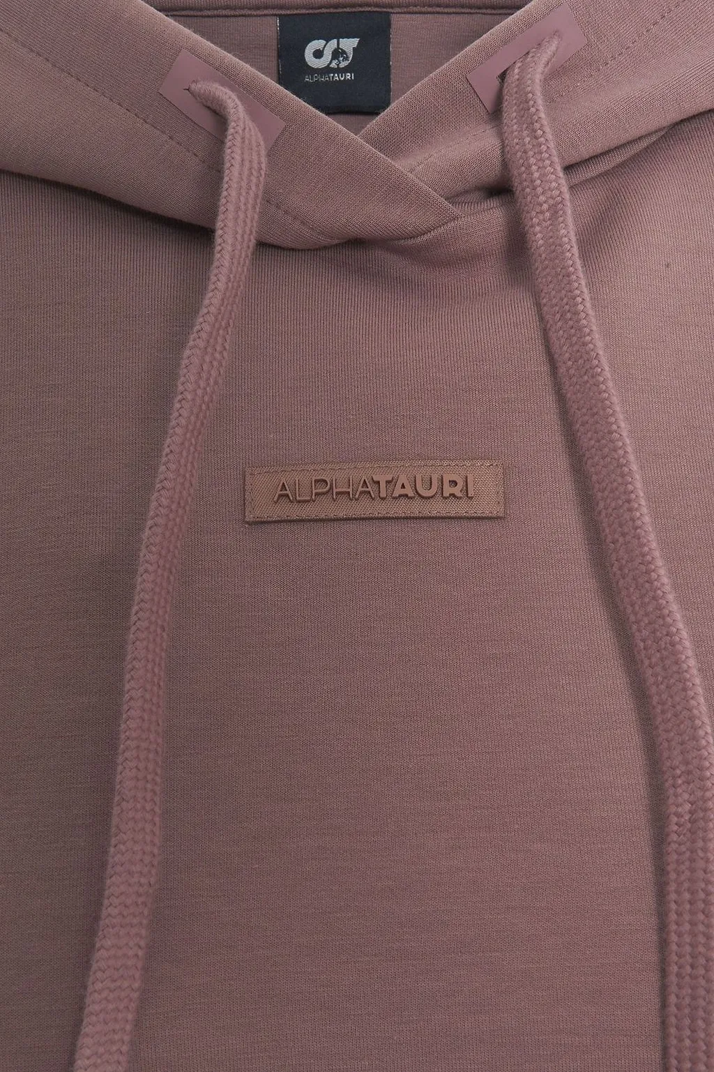 Alphatauri Suri Relaxed Fit Interlock Hoodie