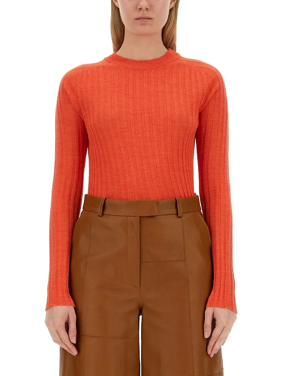 Alysi Crewneck Long-Sleeved Knitted Top