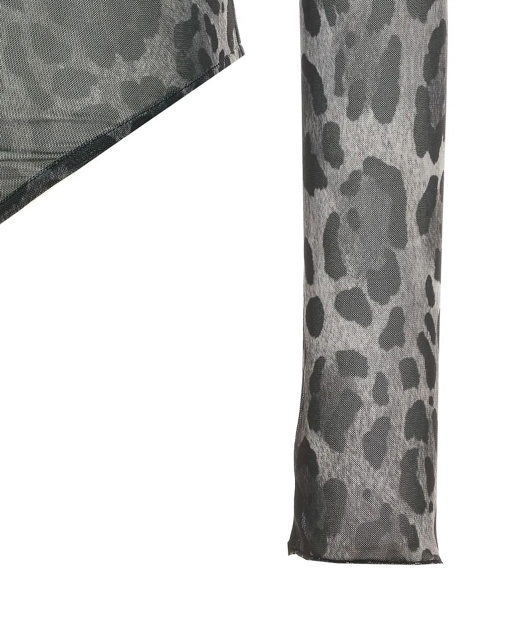 Aniye By Lulu Sheer Leopard-Print Bodysuit