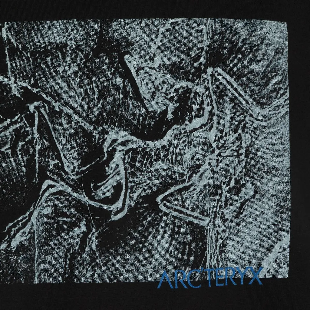 Arc'teryx Graphic T-Shirt