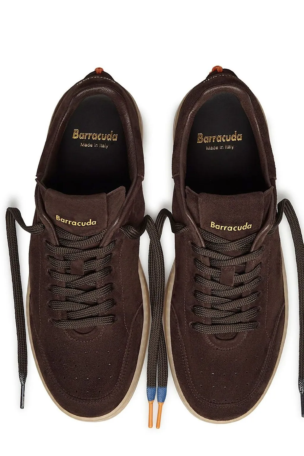 Barracuda Low-Top Sneakers