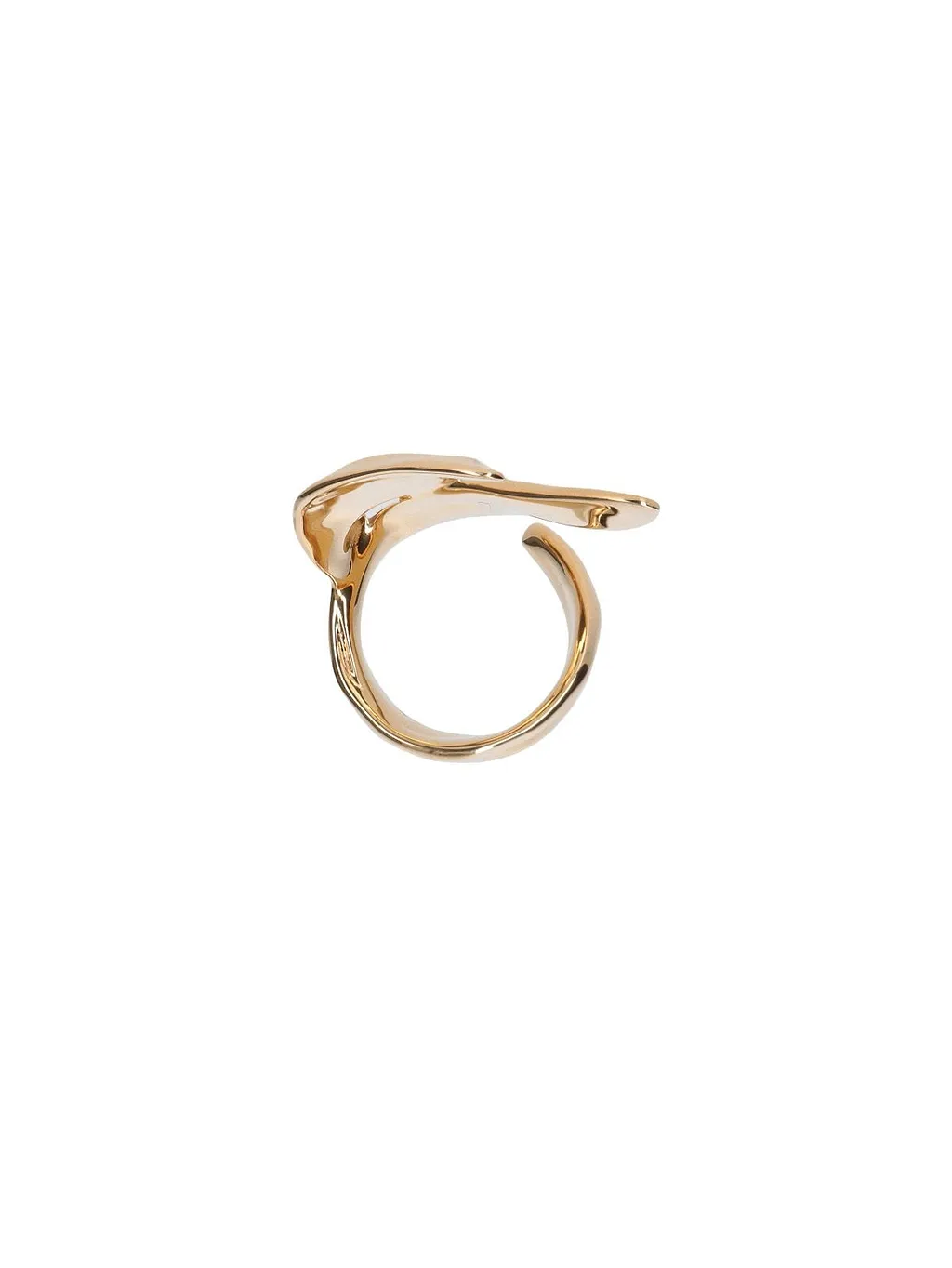 Polish Finished Ring