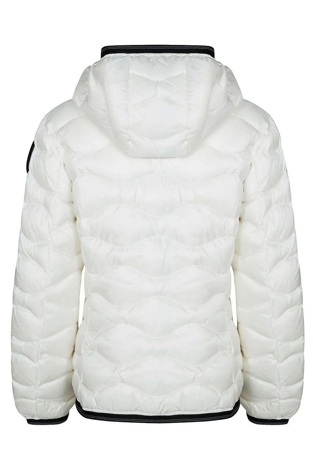 Blauer Loho Patch Hooded Padded Jacket
