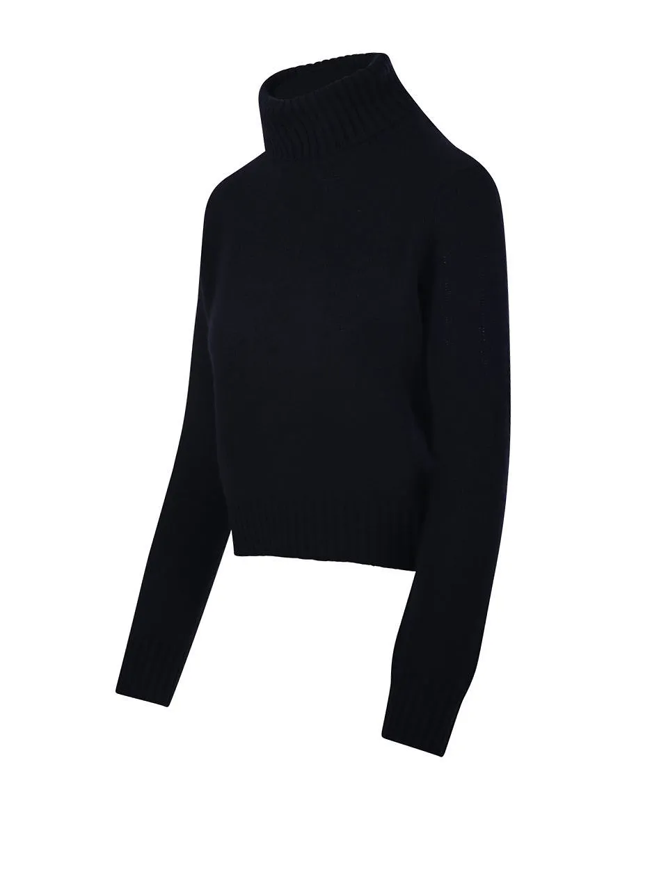 Be You Ribbed Turtleneck Knitted Sweater