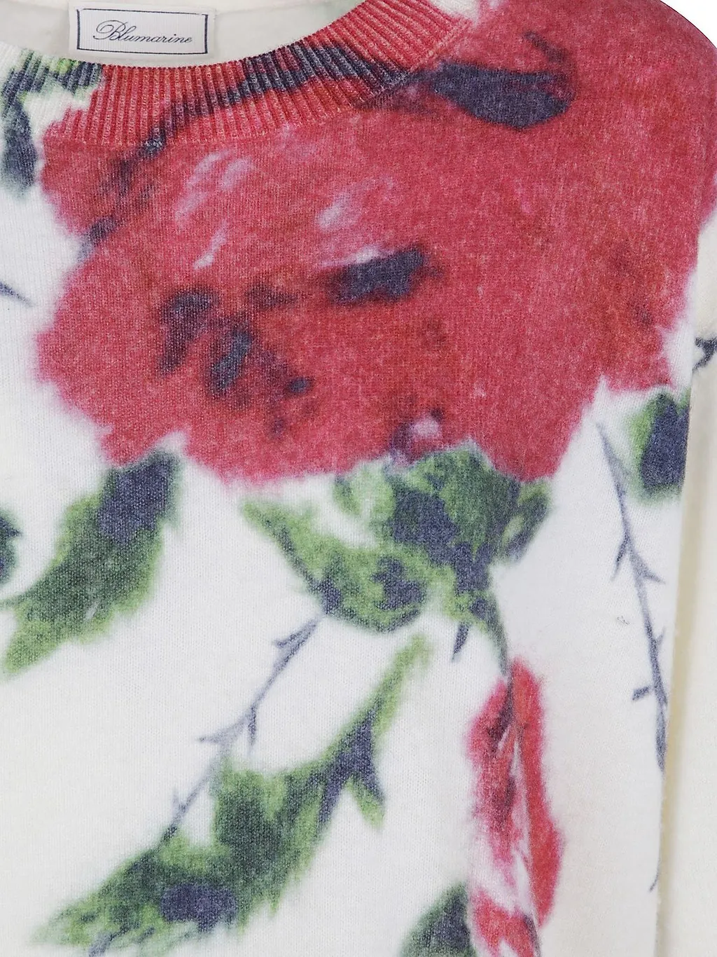 Blumarine Rose Print Knitted Sweater