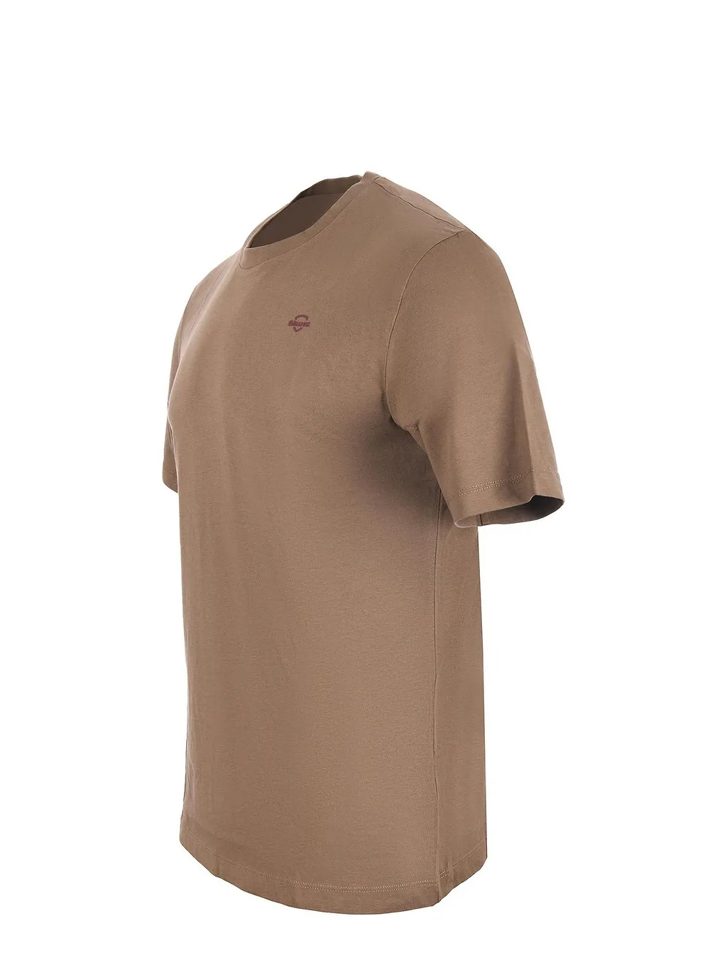 Blauer Logo Crew-Neck T-Shirt