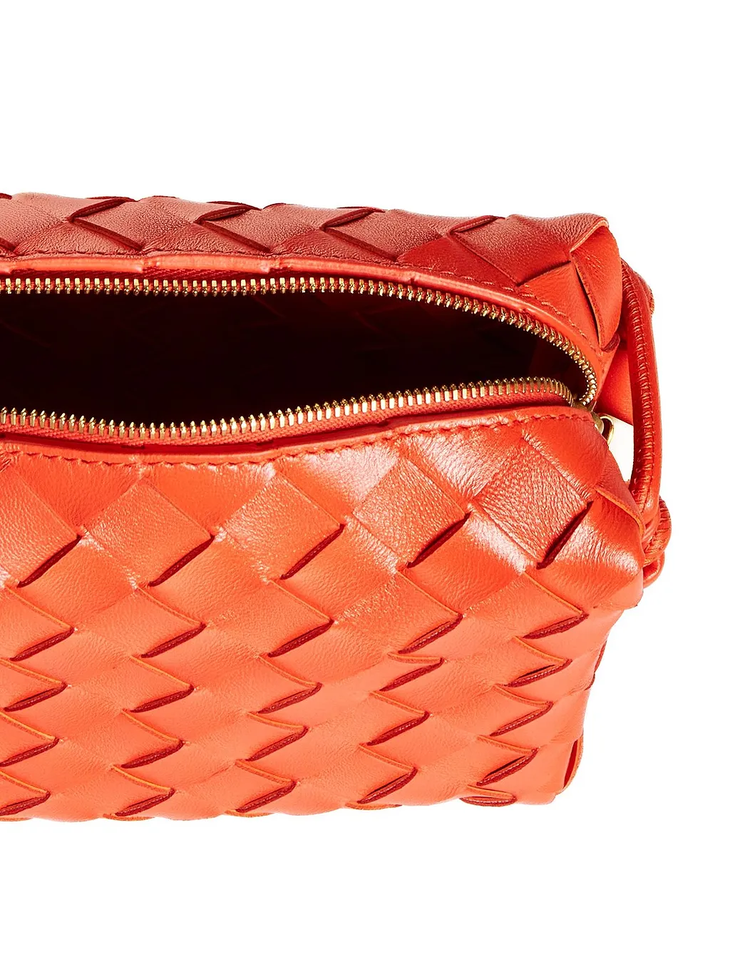 Bottega Veneta Loop Mini Camera Bag