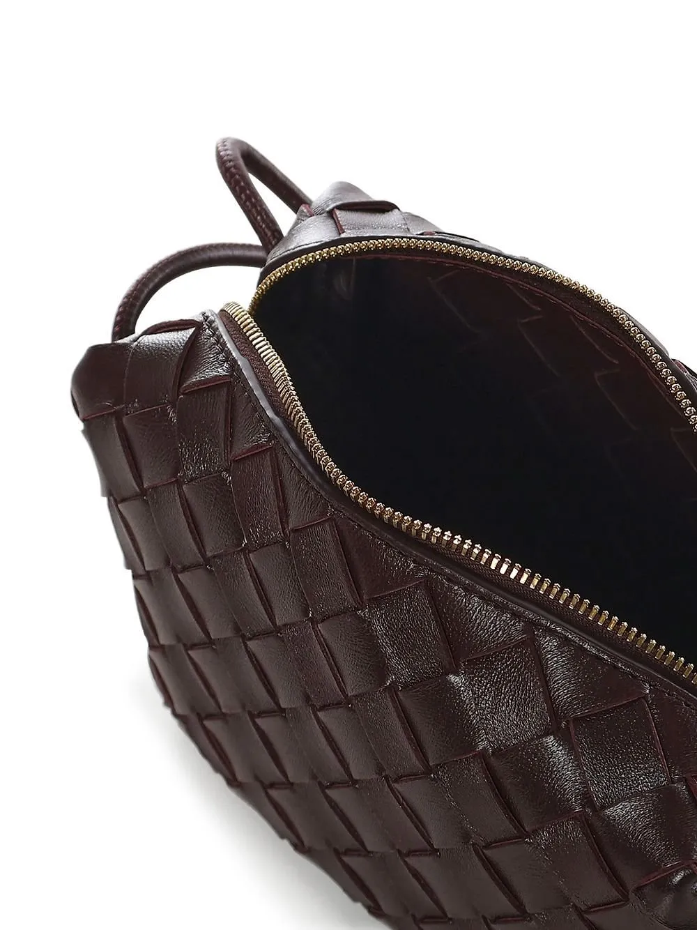Bottega Veneta Loop Mini Camera Bag