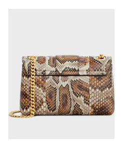 Teen Celine Victoire Bag In Python