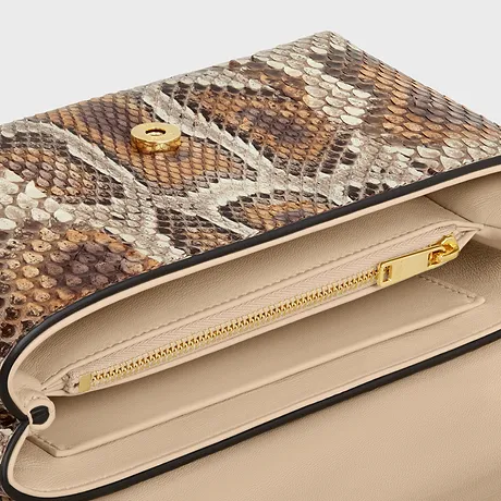 Teen Celine Victoire Bag In Python
