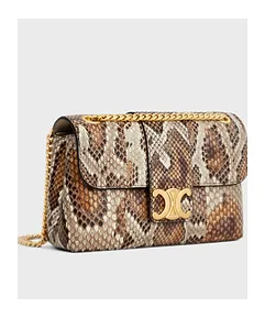 Teen Celine Victoire Bag In Python
