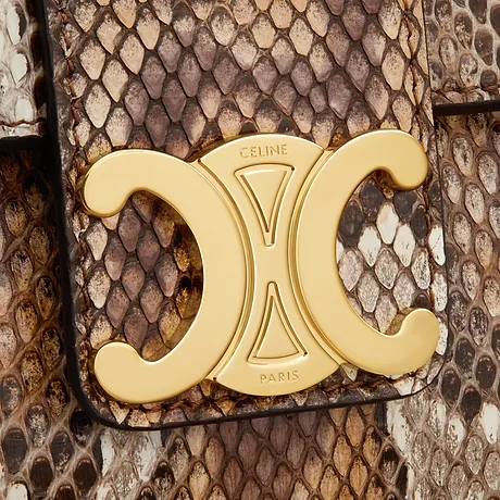Teen Celine Victoire Bag In Python