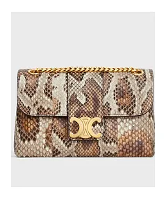 Teen Celine Victoire Bag In Python