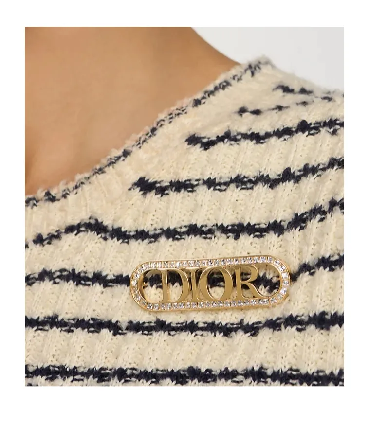 Dioevolution Brooch
