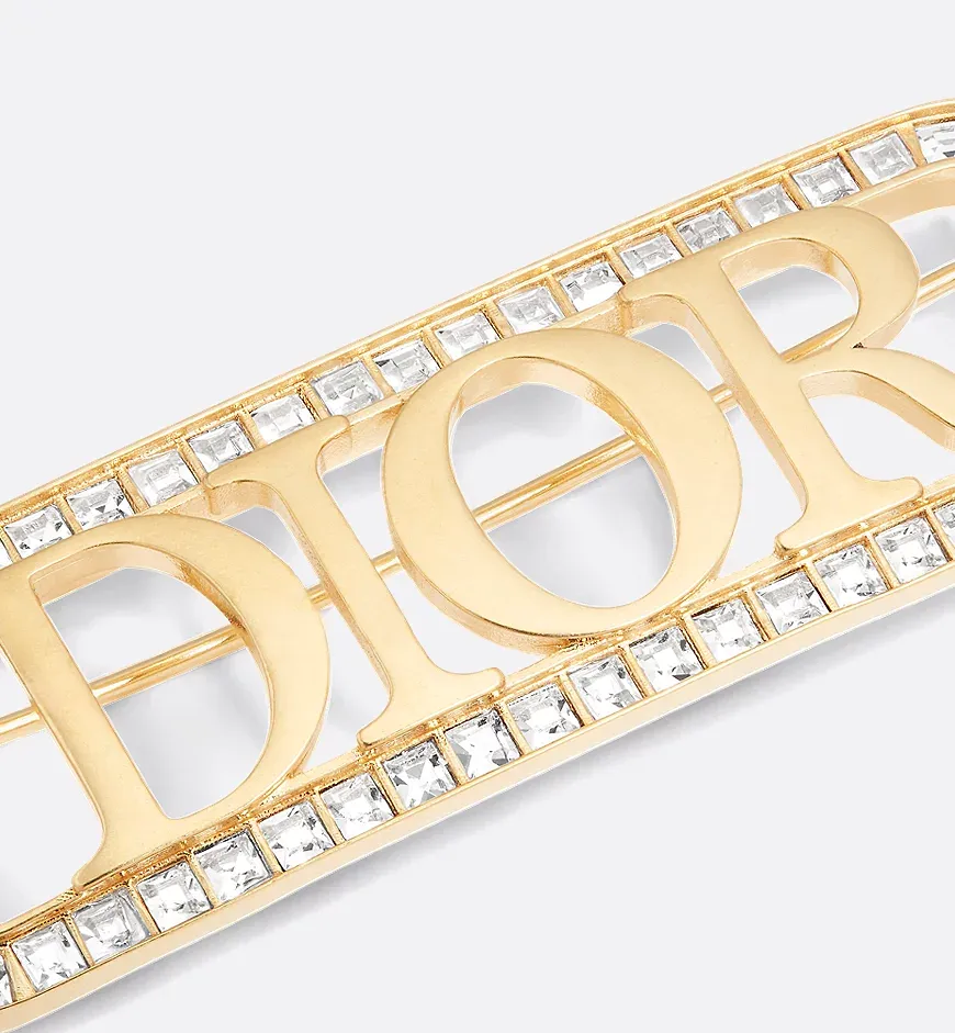 Dioevolution Brooch