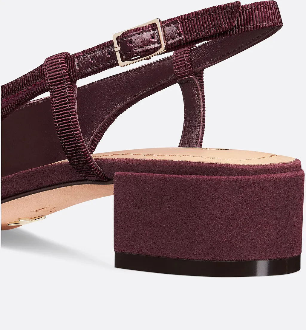 Dior Ballet Slingback Pumps