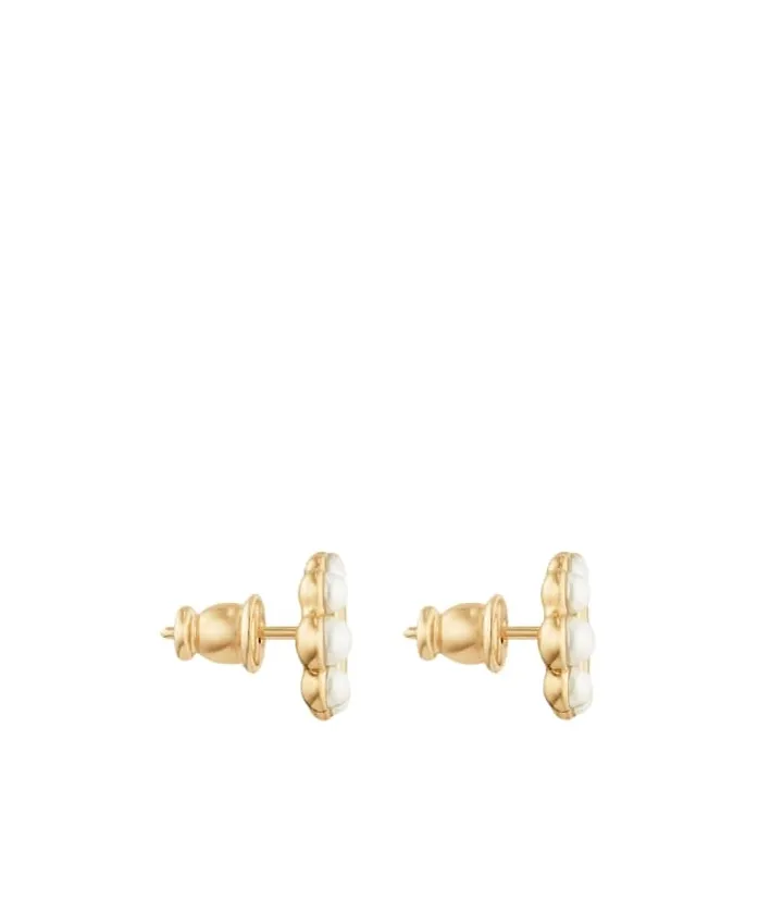 Cd Inlaid Earrings