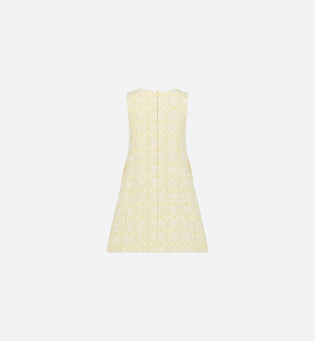 Sleeveless Dress