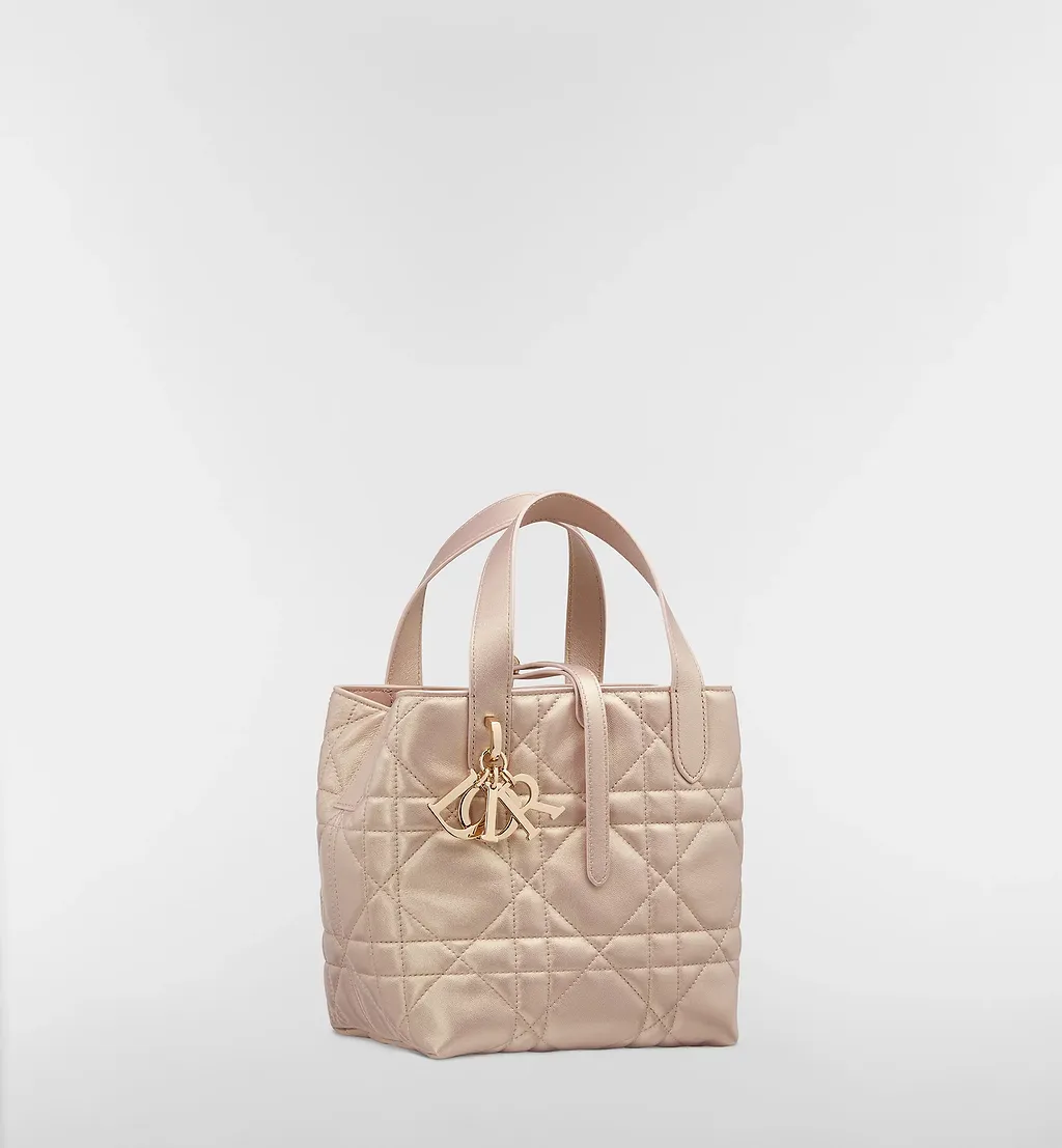 Small Dior Toujours Shoulder Bag