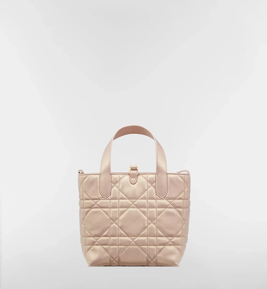 Small Dior Toujours Shoulder Bag