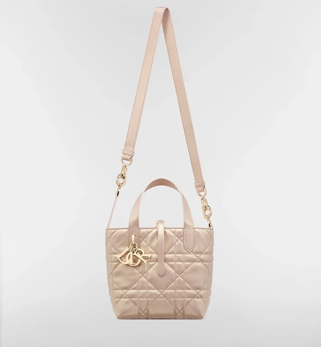 Small Dior Toujours Shoulder Bag