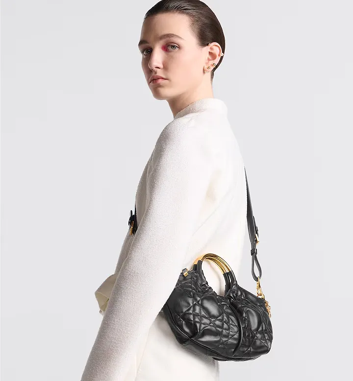 Walk In Dior Purse