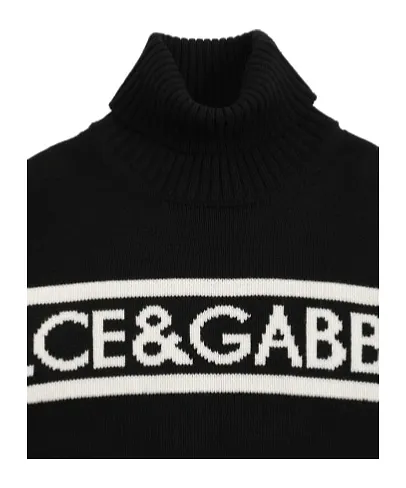 Logo Wool Knitted Turtleneck Sweater
