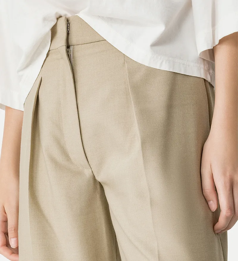 Pleated Trousers
