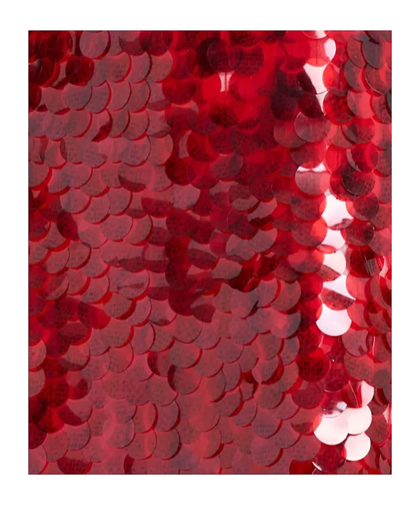 Sequined Long Skirt