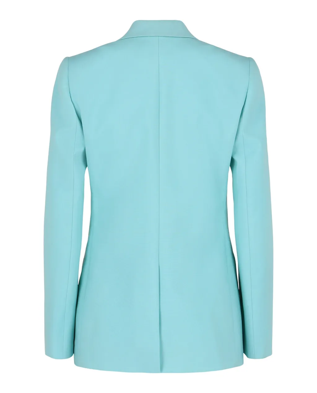 Long-Sleeved Suit Jacket