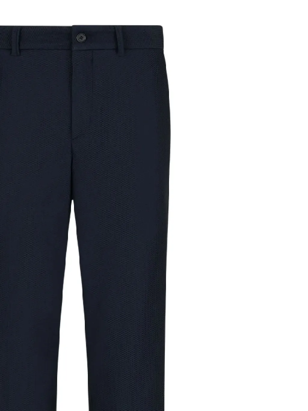 Giorgio Armani Textured Tailored Pants