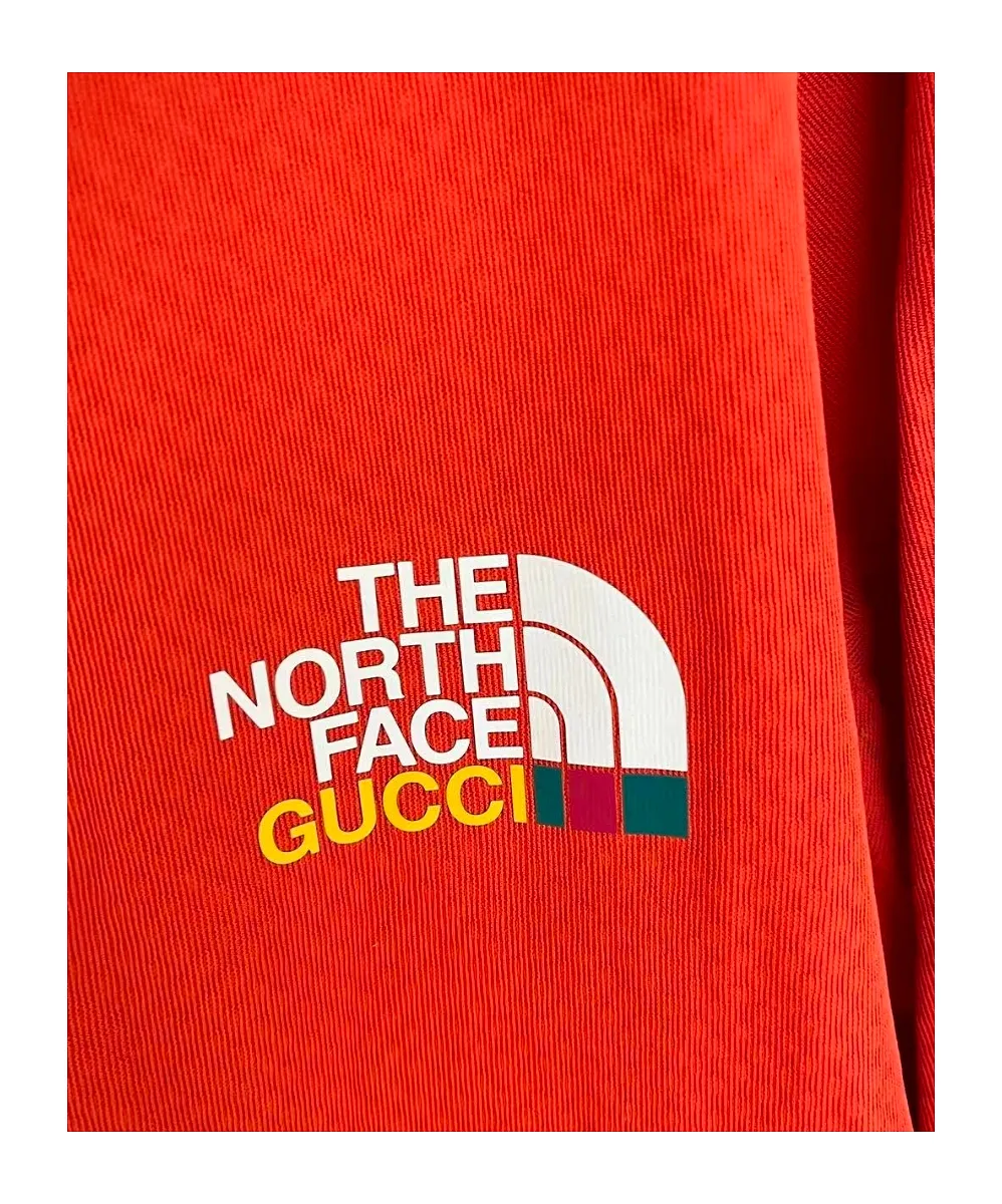 Gucci X The North Face Logo Long-Sleeved Hoodie