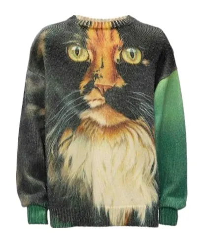 Jw Anderson Cat Printed Knitted Jumper