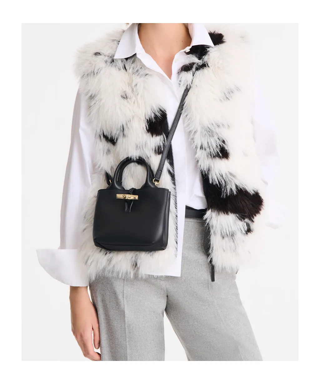 Le Roseau Xs Leather Mini Bag