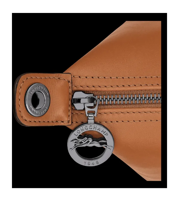Longchamp Le Pliage Xtra Small Top Handle Bag