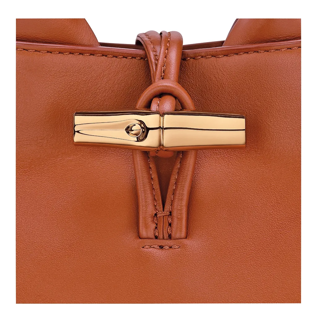 Longchamp Le Roseau Xs Handbag