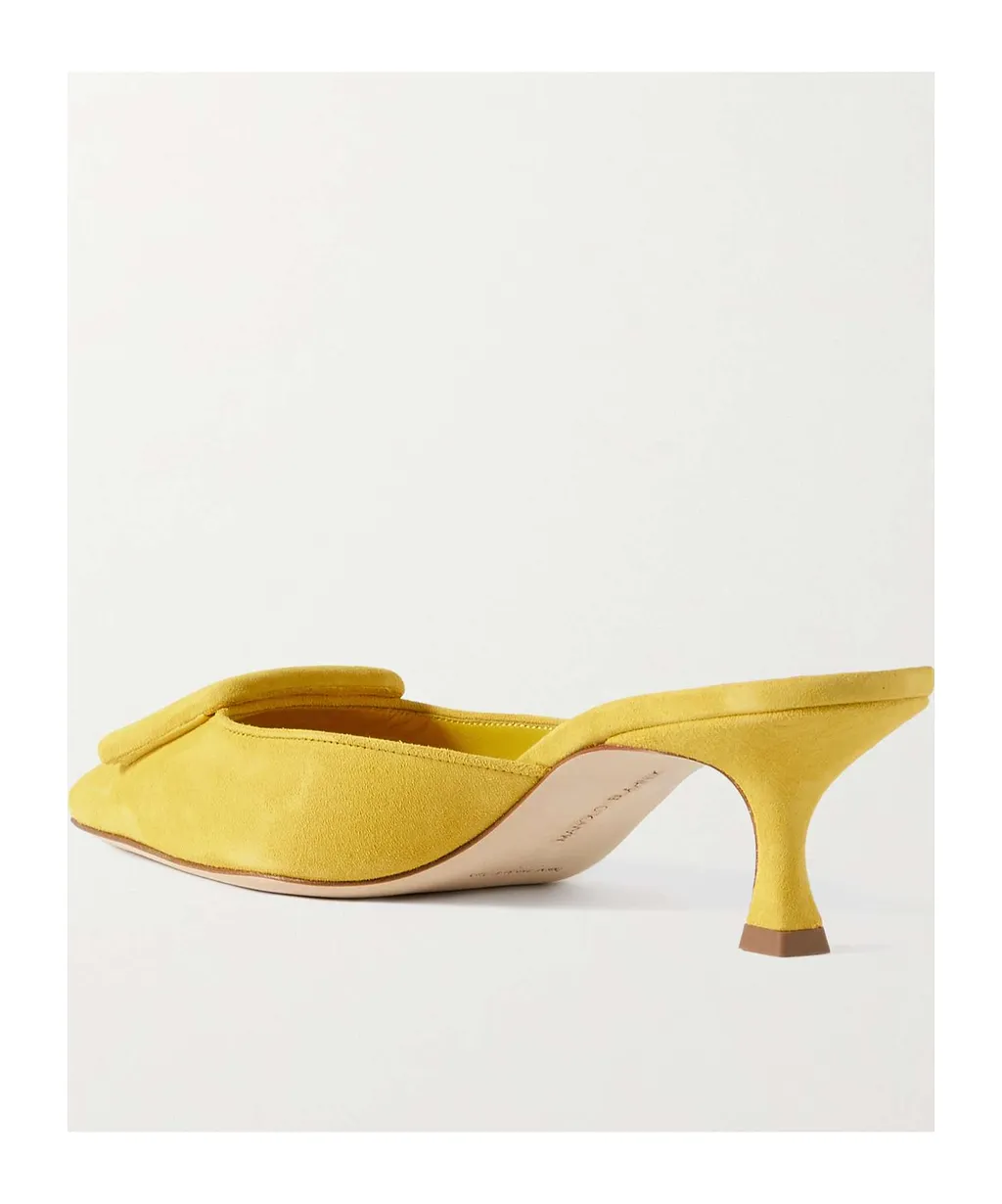 Pointed Toe Mules