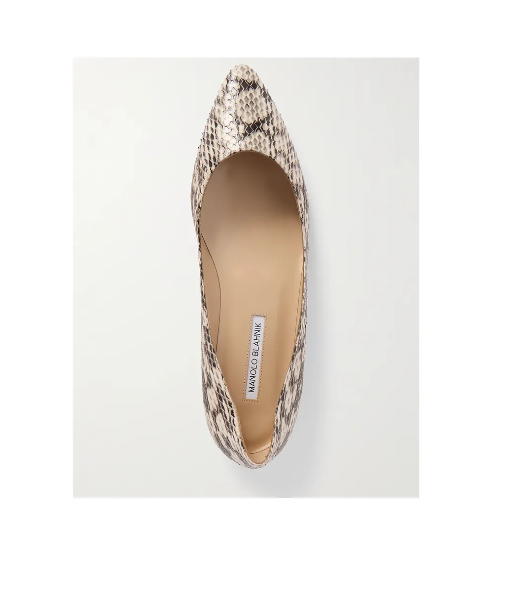 Pointed Toe Flats