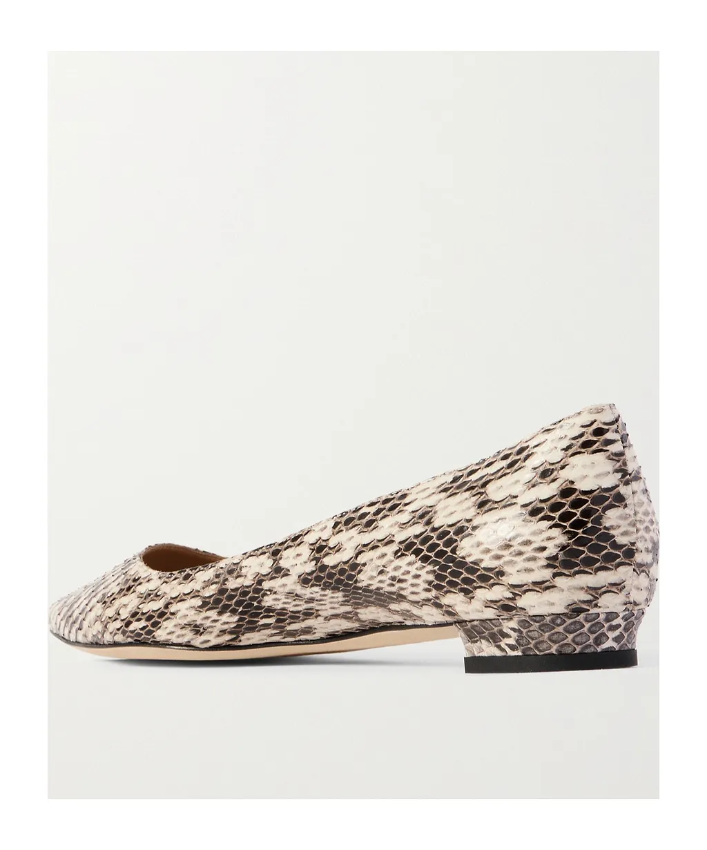 Pointed Toe Flats