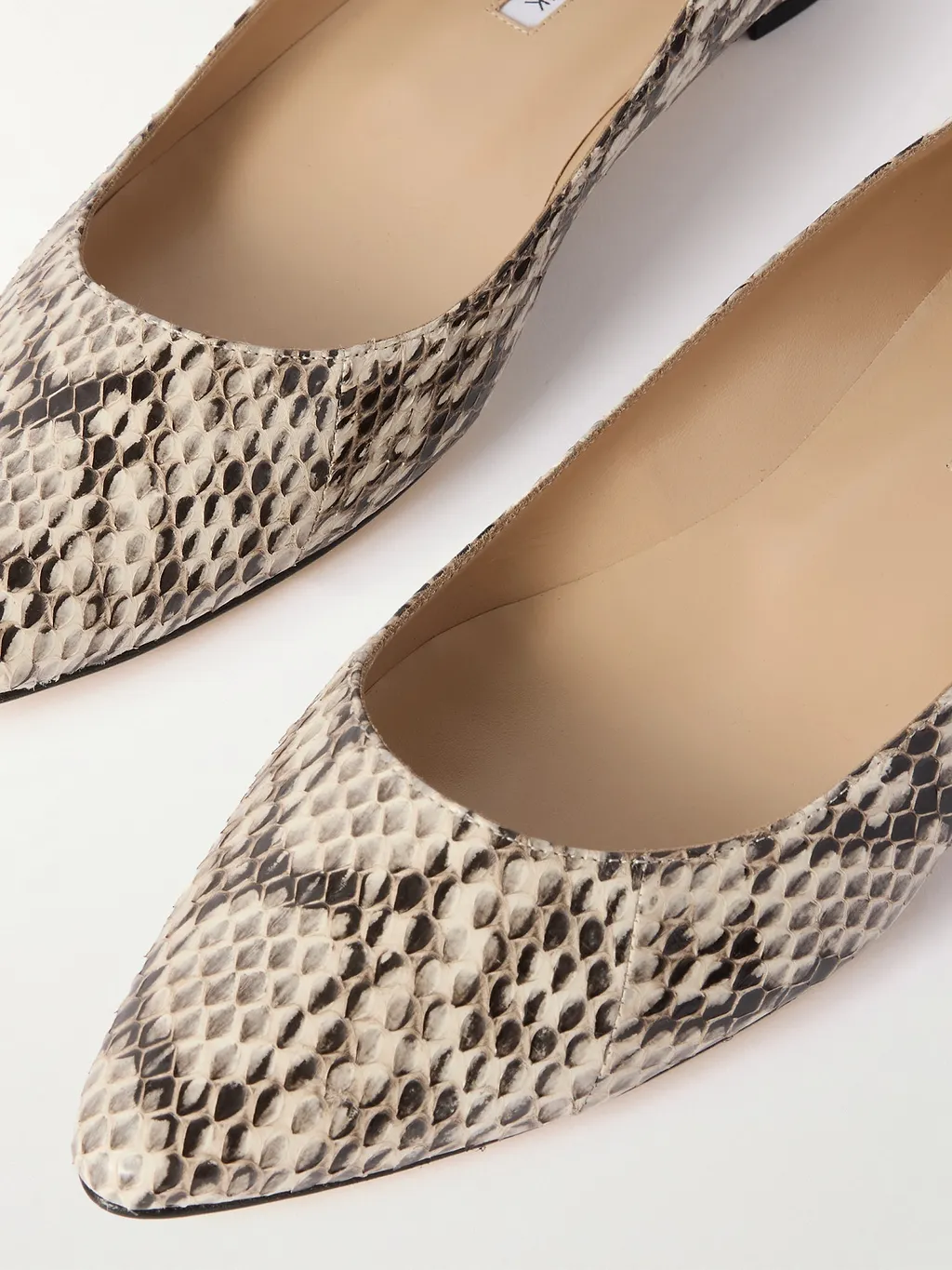 Pointed Toe Flats