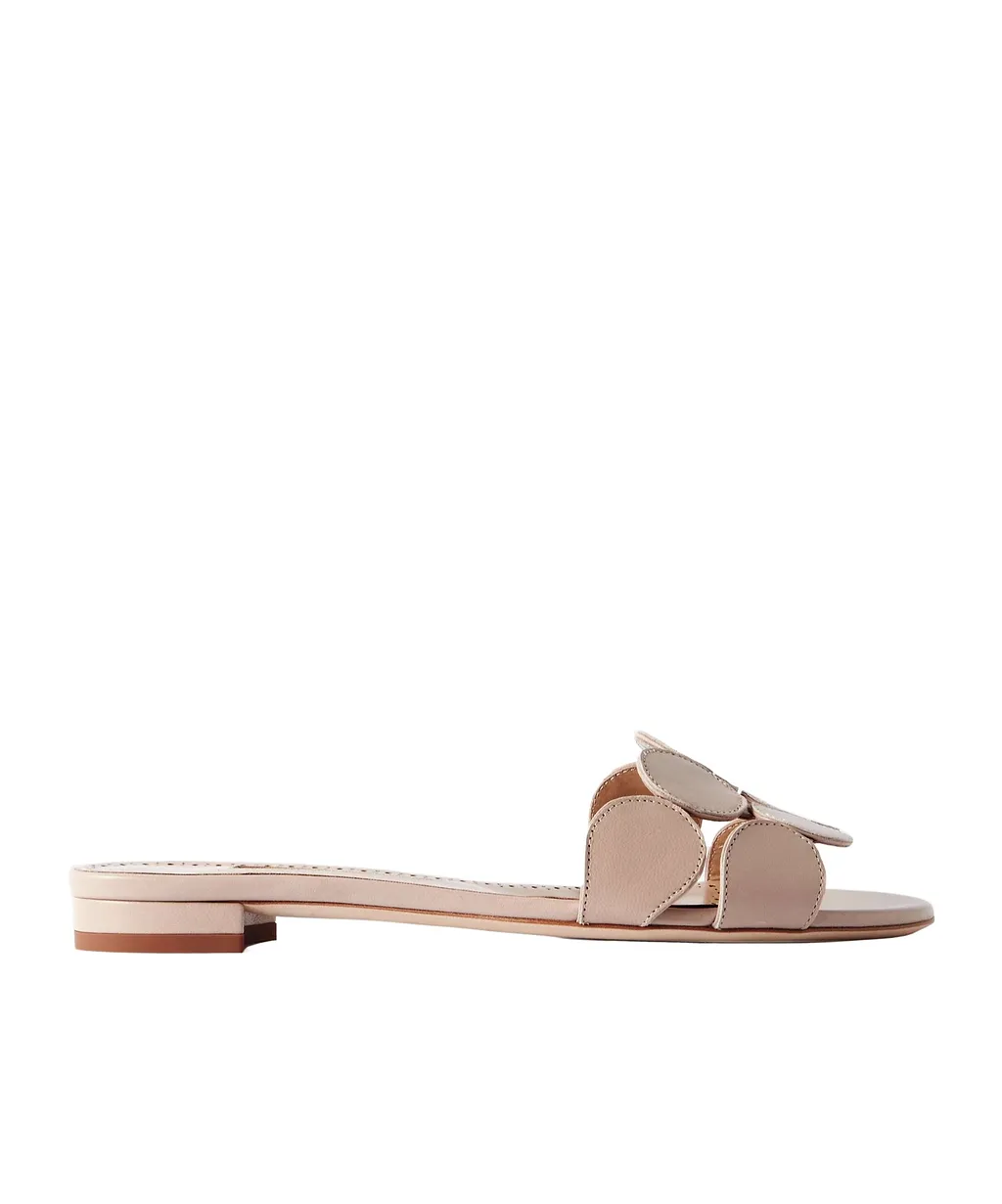 Round Toe Slippers
